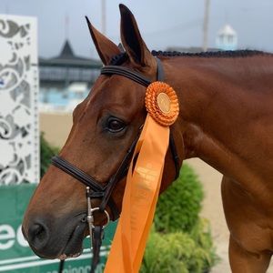 Meet your Posher, Carly